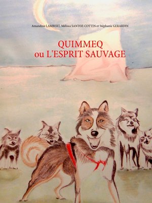 cover image of Quimmeq ou l'esprit sauvage